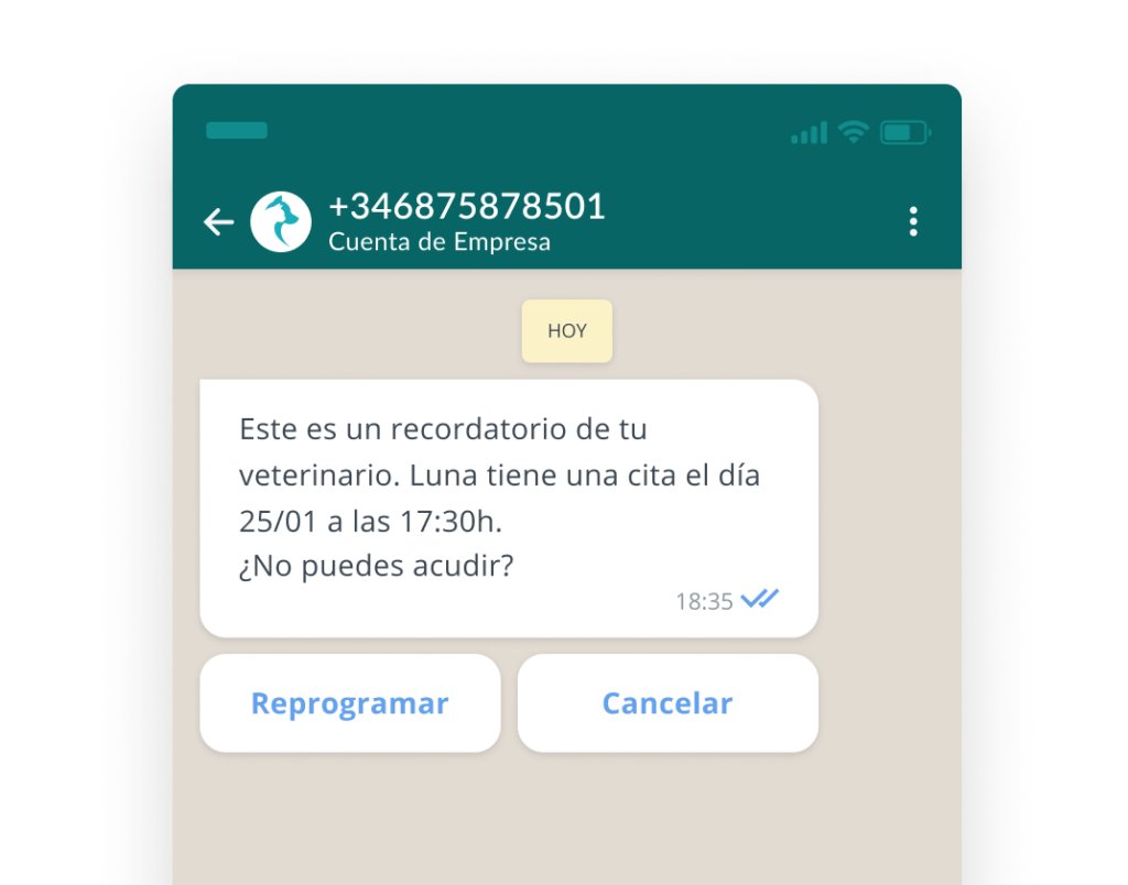 5 Mejores Formas De Utilizar WhatsApp Business Platform